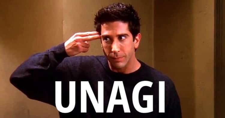 Ross Unagi